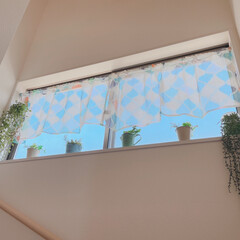 窓 階段のインテリア Limia リミア