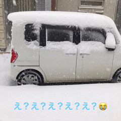 雪国あるある/リミアの冬暮らし/暮らし おはようございます😅☃️
朝起きたら積も…