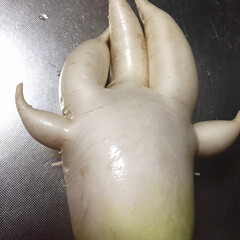 自然の力/野菜 想像してください😄

人？手？何に見える…(2枚目)