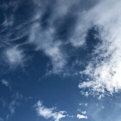 空 今日の空です。
朝晩、肌寒くなりました。…(1枚目)