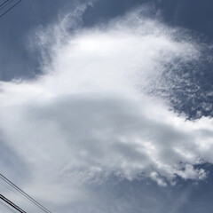 雲/夏空 夏空を巨大な鳥が飛んでるように
見えまし…(1枚目)