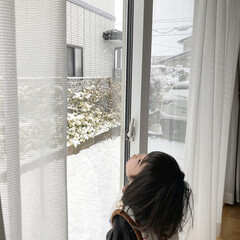 娘の成長/子育て/初雪 朝イチで雪が降ってると窓から雪を眺めるの…(2枚目)