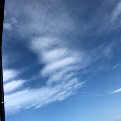 空/フォロー大歓迎/冬/猫/おでかけ/旅行/... 今日は、青空で〜す🎶💕(1枚目)