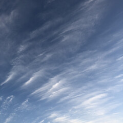 空/花/雲/フォロー大歓迎 今日は、澄みきった空です💕
とても 気持…(1枚目)