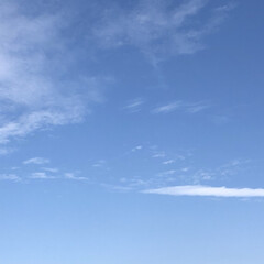 空/フォロー大歓迎/冬/猫/おでかけ/旅行/... 透き通る様な 青空
   気持ちいい〜〜…(1枚目)