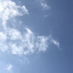 空/フォロー大歓迎/冬/猫/おでかけ/旅行/... 今日は、青空が広がっています。気持ち良い…(1枚目)
