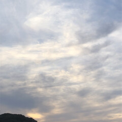 花/雲/空/LIMIAおでかけ部/フォロー大歓迎/猫/... 今晩から明日にかけて、これから 雨になる…(1枚目)