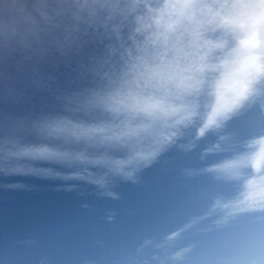 空/フォロー大歓迎/冬/猫/おでかけ/旅行/... 今日は、青空で〜す🎶💕(2枚目)