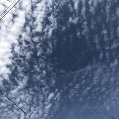 花/雲/空/LIMIAおでかけ部/フォロー大歓迎/猫/... 今日は、過ごしやすい日に
なりました🤗(1枚目)