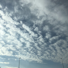 空/フォロー大歓迎/冬/おでかけ/旅行/風景 少し雲は、多いけど
青空も 広がってま〜…(1枚目)