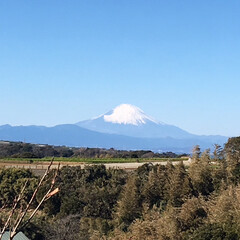 富士山 (1枚目)