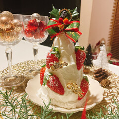 チョコレートケーキ/チョコレート/きのこの山/ブッシュドノエル/手作り/クリスマス/... メリークリスマス🎄
ケーキ3種類も作っち…(2枚目)