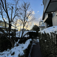 にわ 今日は雪❄️の為にテレワークでした😅福岡…(1枚目)