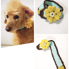 ハンドメイド/わんこ同好会/セリア 🐾プデル 今日、年明け初めての通院🏥
洋…