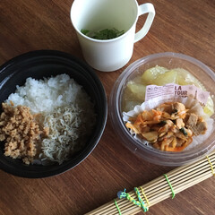 お弁当 豚キムチ弁当🍱

冬瓜の鶏ひき肉あんかけ…(1枚目)