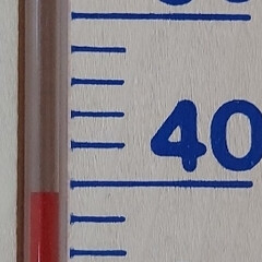 水分補給/コキア/温度計/酷暑 写真が横向きになってしまいました。

コ…(4枚目)