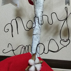 noriちゃん/オーナメント/Handmade/白樺ツリー/ワイヤー文字/クリスマス noriちゃんのオーナメント
届きました…(2枚目)