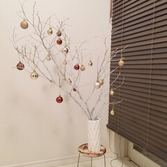 クリスマス 木の枝のフォトまとめ Limia リミア