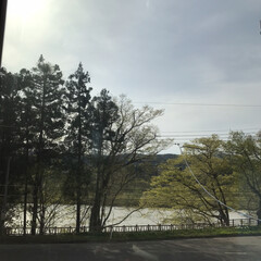 4月30日/風景/田舎 川の流れが穏やかで気持ち良さそう✨(2枚目)
