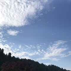 青空/空/田舎 朝は晴れていますが午後から崩れそうです…。(2枚目)