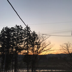 夕日が綺麗/田舎/空 (1枚目)