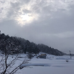 田舎/空/雪景色 雪がちらちら降っています❄️(1枚目)