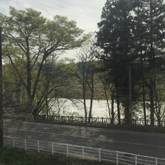 4月30日/風景/田舎 川の流れが穏やかで気持ち良さそう✨(1枚目)