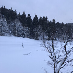 空/田舎/雪景色 積雪1m超えです😆(3枚目)