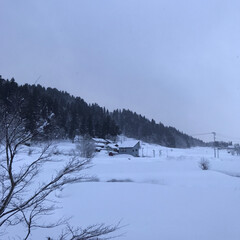 空/田舎/雪景色 積雪1m超えです😆(2枚目)