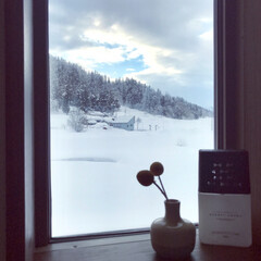 窓辺インテリア/田舎/雪景色/ロフト/セリア 一昨日、撮った雪景色です❄️(1枚目)