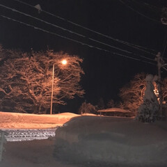田舎/雪景色 昨日18時頃、除雪後です❄️(1枚目)