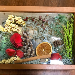 セリア/雑貨/ハンドメイド/暮らし 季節の植物を手作り箱に詰めました。
セリ…(1枚目)