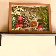 セリア/雑貨/ハンドメイド/暮らし 季節の植物を手作り箱に詰めました。
セリ…(2枚目)