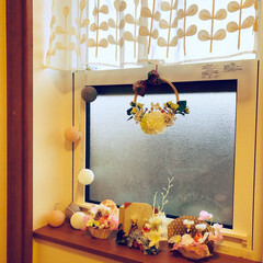 春色インテリア/コットンボールライト/手作り雛/ミニうさぎ雛/刺繍枠リース/スリーコインズのカフェカーテン/... DAISOの春色のコットンボールライト(…