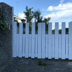 DIY/住まい/リフォーム/建築 前の住人がDIY で作ってた門が、先日の…(4枚目)