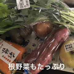 新鮮さかな/新鮮野菜/おでかけ/暮らし/節約 すっからかんの冷蔵庫を埋めるべく買い物へ…(3枚目)