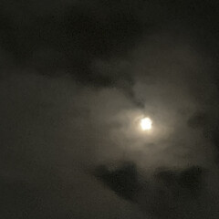 「満月。🌕ちょっと雲で見え隠れしてる。」(3枚目)