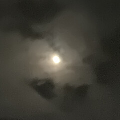 「満月。🌕ちょっと雲で見え隠れしてる。」(2枚目)