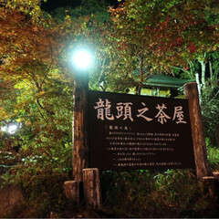 おでかけ/観光/竜頭の滝/栃木 栃木県の竜頭の滝です。ライトアップされる…(2枚目)