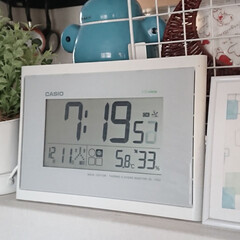 サボテン/多肉植物/気温/ハオルチア/園芸初心者/しもやけ 今朝の室温 ５℃前後、間もなく冷蔵庫の設…(1枚目)