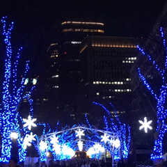イルミネーション/クリスマス/おでかけ 大阪中之島中央公会堂、イルミネーション✨…(5枚目)