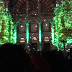 イルミネーション/クリスマス/おでかけ 大阪中之島中央公会堂、イルミネーション✨…(4枚目)