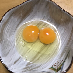 卵/ふたご/おうちごはん 今日はすき焼き💕
卵を割ったら双子ちゃん…(1枚目)