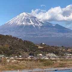 観覧車/富士山/フォロー大歓迎/にゃんこ同好会/おでかけ/旅行 沼津に行く道中、こんなに近くで富士山を見…(2枚目)