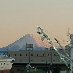 富士山/焼津港/朝陽/旅行/風景 久しぶりに　釣りに出かけました。


星…(4枚目)
