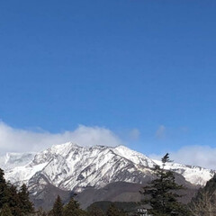 雪景色 昨日の朝
 久しぶりに白い
山は降ってた…(1枚目)