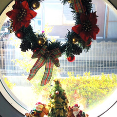 丸窓/ミニクリスマスツリー🎄/フォロー大歓迎/手作り/クリスマス/おうち時間/... |ｮ&#39;ω&#39;〃)おはようございます♪

う…(1枚目)