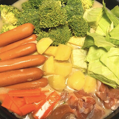 ダイショー クアトロチーズ鍋スープ 750g 1袋 | ダイショー(なべつゆ、なべスープ)を使ったクチコミ「今日はクアトロチーズ鍋スープの素で
食材…」(1枚目)
