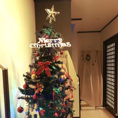 フォロー大歓迎/セリア/ダイソー/ツリー/180cm/クリスマスツリー/... 今日はクリスマス🎄

今年もニトリのクリ…(1枚目)