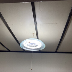 天井板/DAISO商品/DAISOはしご 天井板貼りました

洋室はプリント合板を…(1枚目)